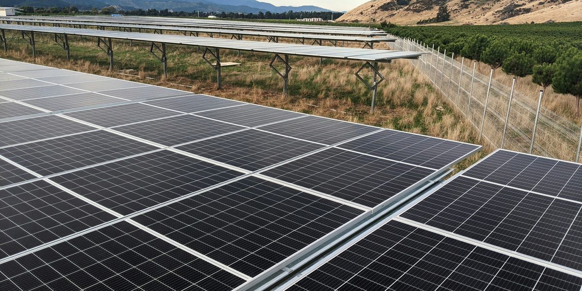 Solar panels positioned in field during daytime.