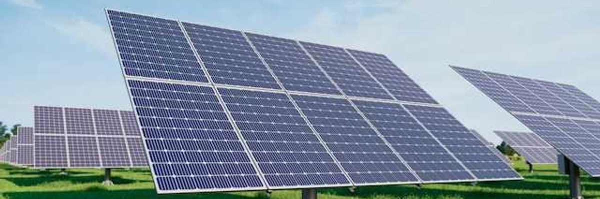 Solar panels standing in a grassy field