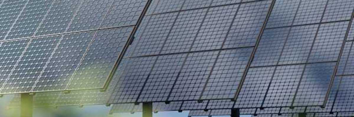Solar panels with green bushes in the foreground