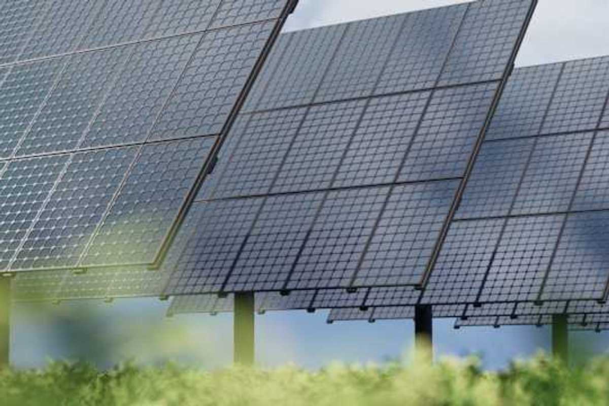 Solar panels with green bushes in the foreground