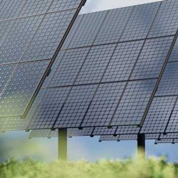 Solar panels with green bushes in the foreground