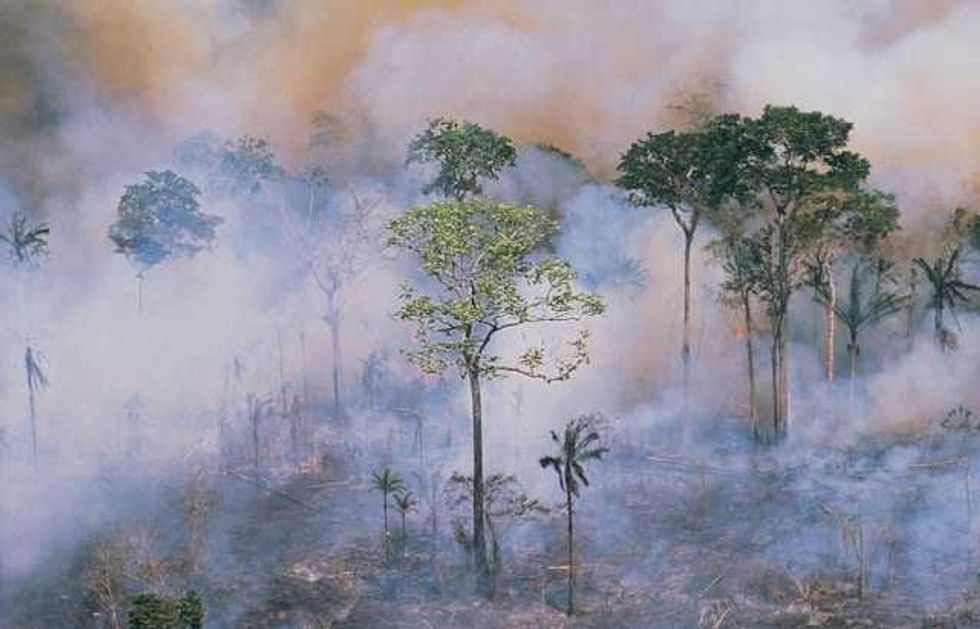 Maps show surge in Indonesian wildfire hotspots where people and orangutans are choking to death