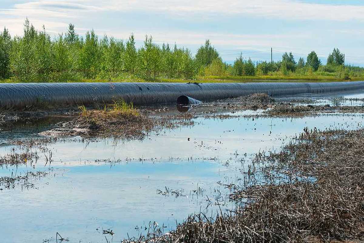 Spilled oil around a leaking oil pipeline