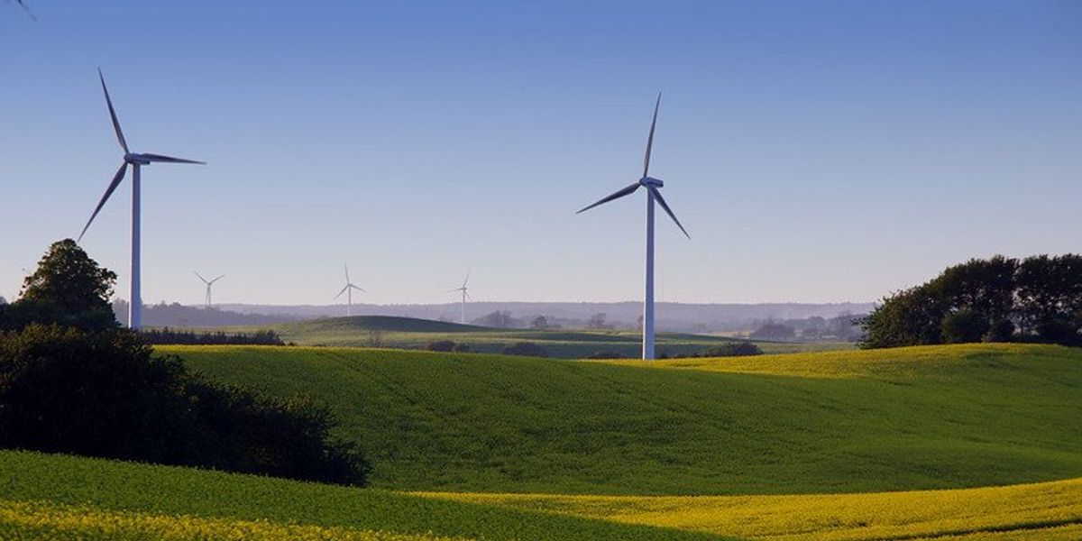 Sweden shows how to slash emissions while boosting the economy