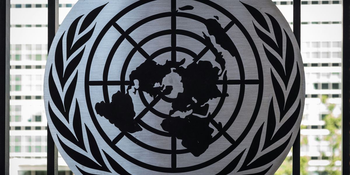 the united nations emblem on display in front of a window.
