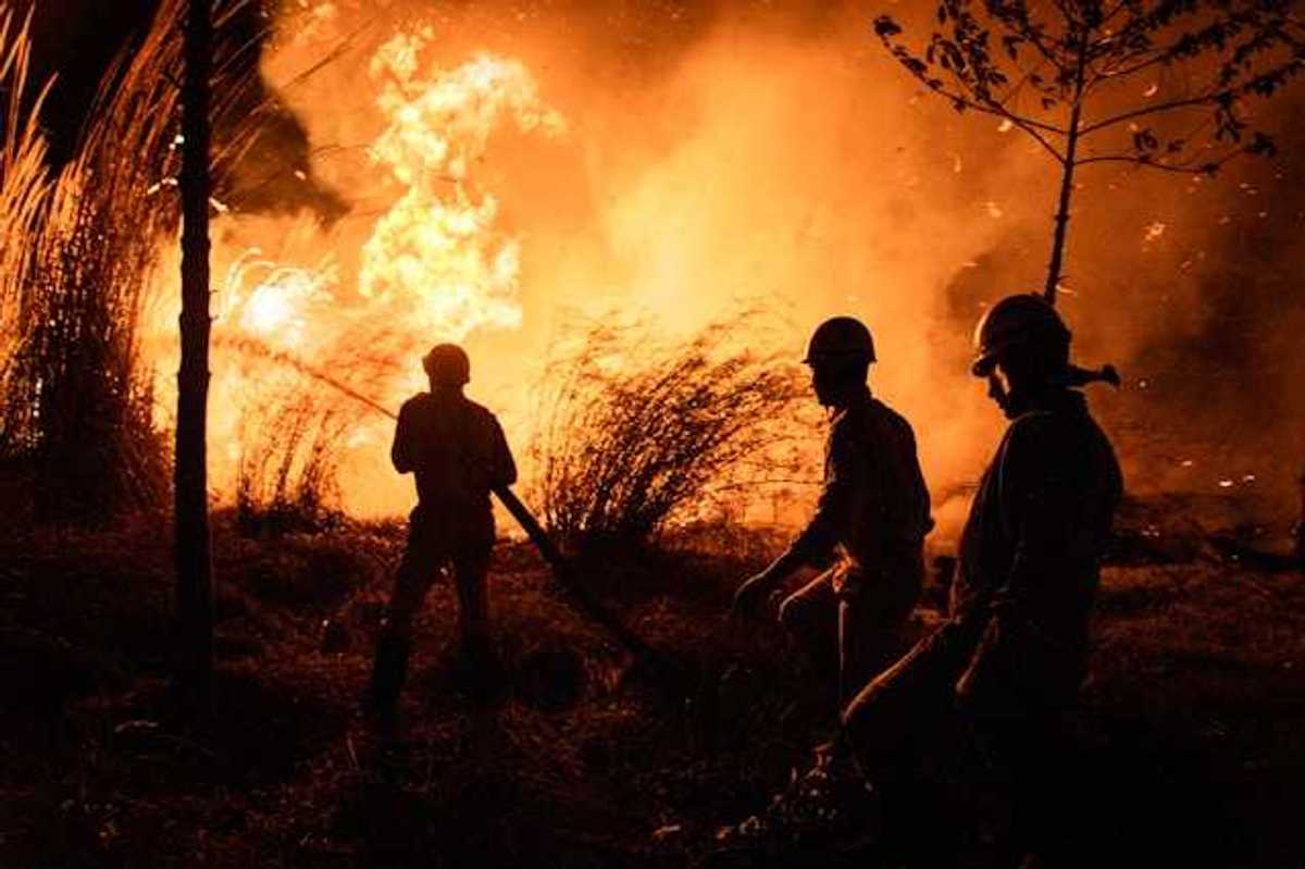 Three firefighters fighting a wildfire