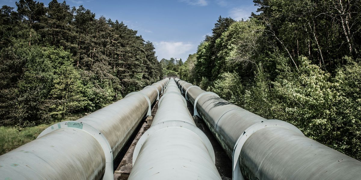 Three pipelines stretching through a forest.