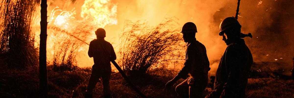 Three wildland firefighters working at night