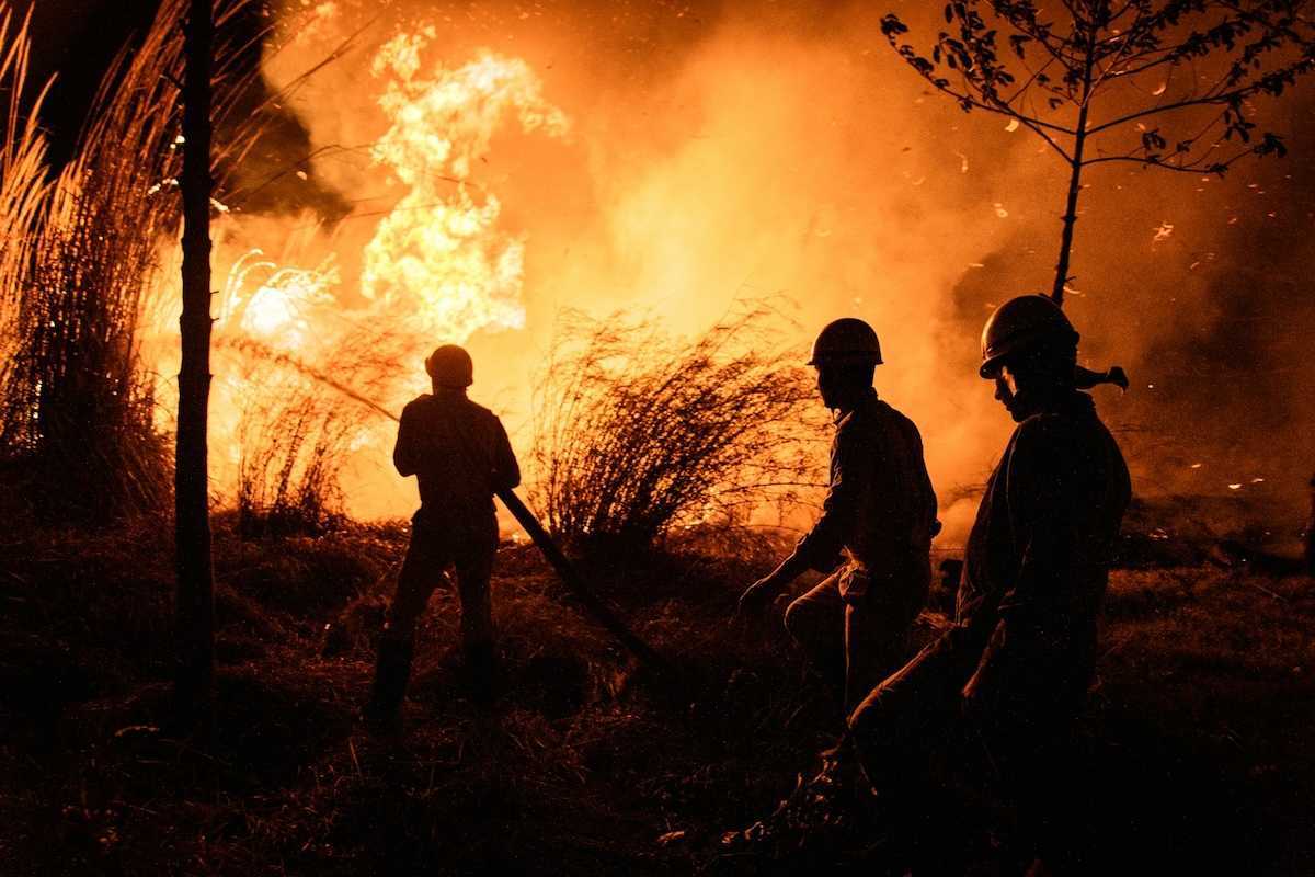Three wildland firefighters working at night
