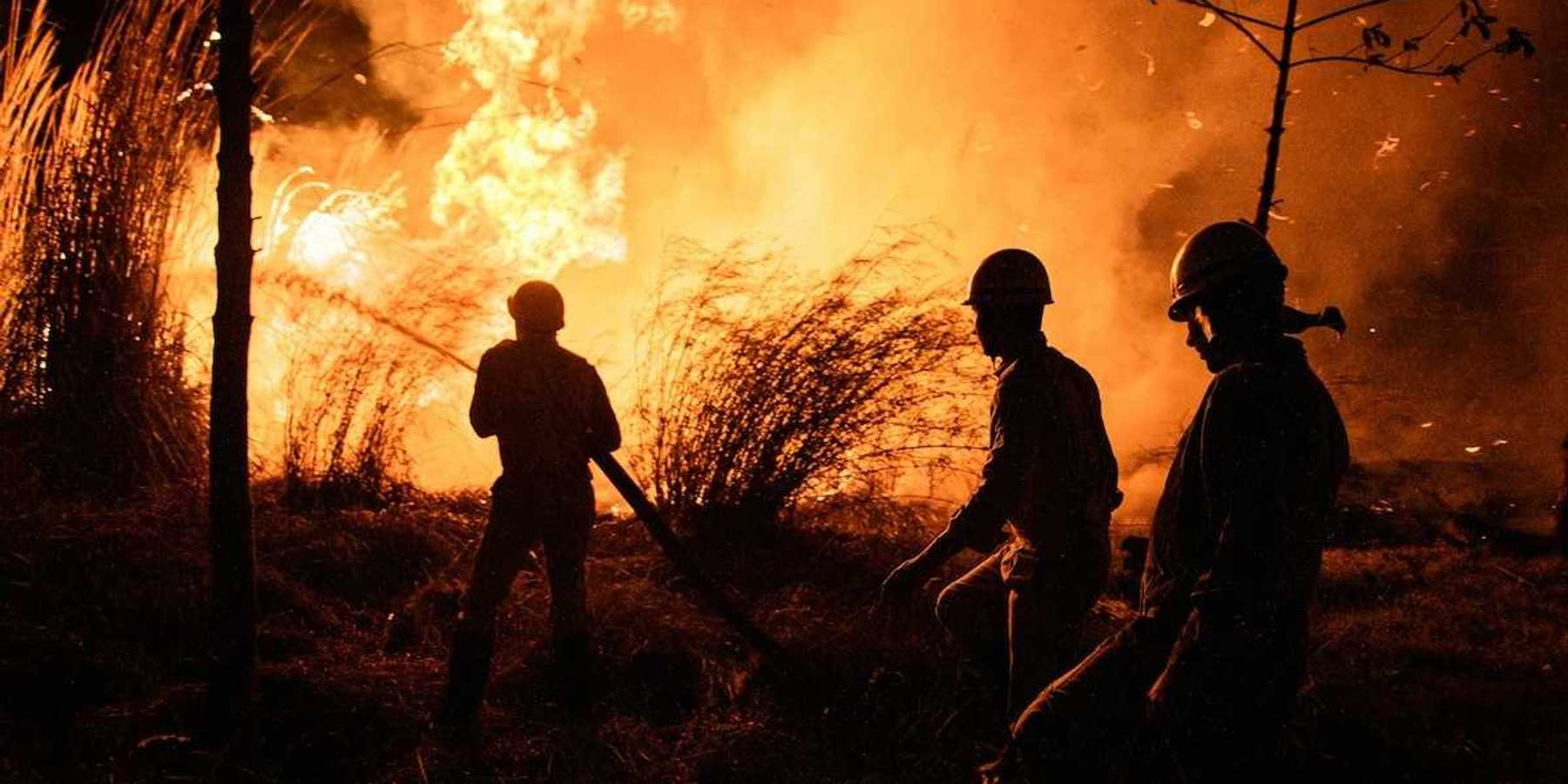 Three wildland firefighters working at night
