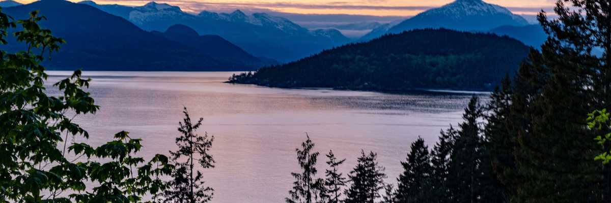 trees beside ocean under cloudy sky during sunset