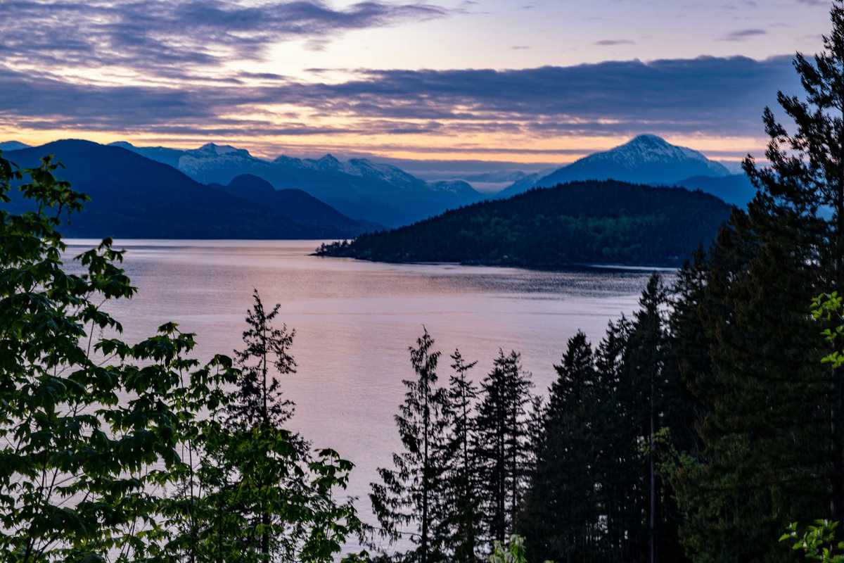 trees beside ocean under cloudy sky during sunset