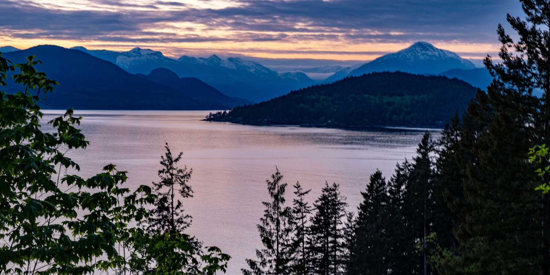 trees beside ocean under cloudy sky during sunset