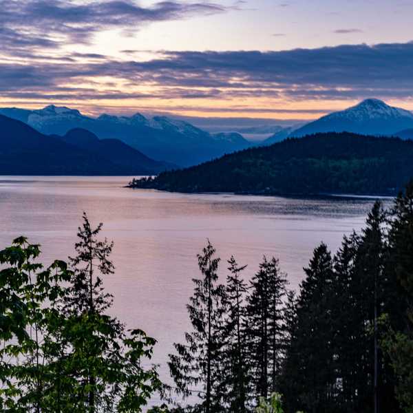 trees beside ocean under cloudy sky during sunset