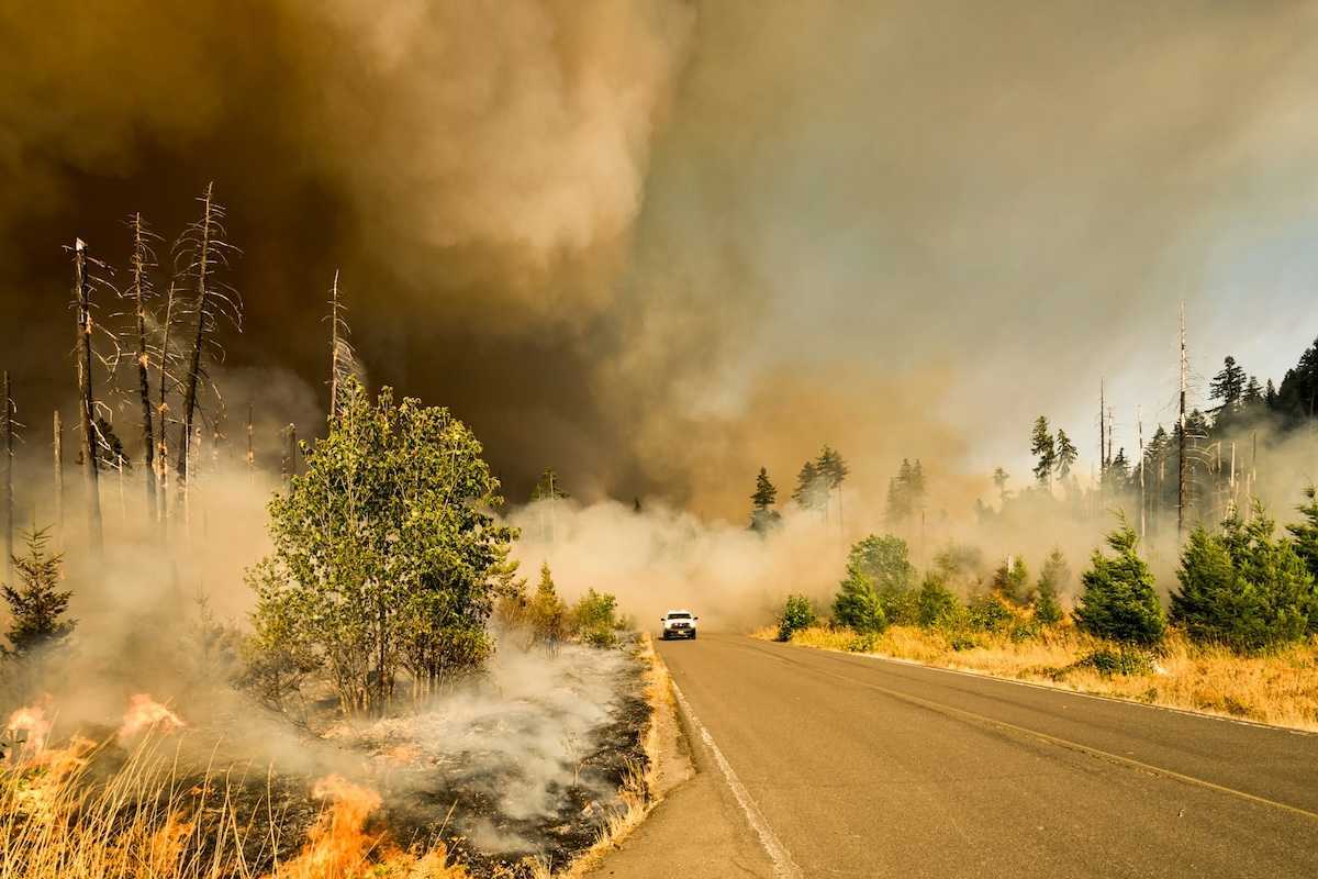 Truck driving out of wildfire smoke on highway