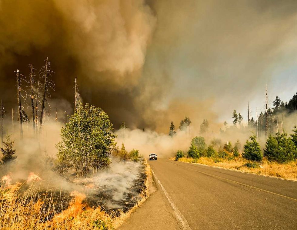 Counting up receipts: one of Canada’s worst wildfire seasons cost at least $500M