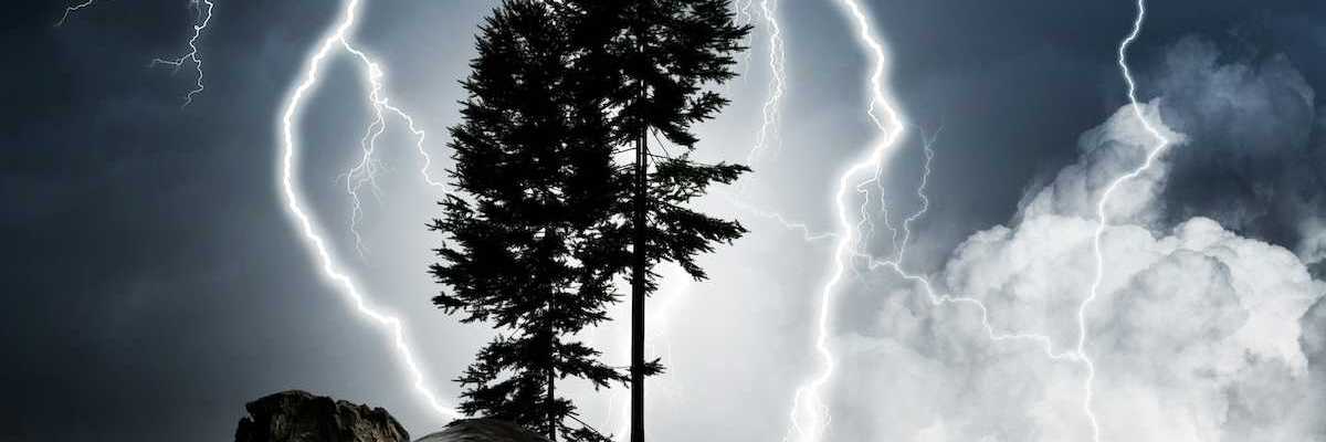 Two coniferous trees silhouetted against a lightning filled night sky