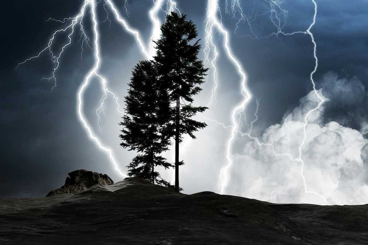 Two coniferous trees silhouetted against a lightning filled night sky