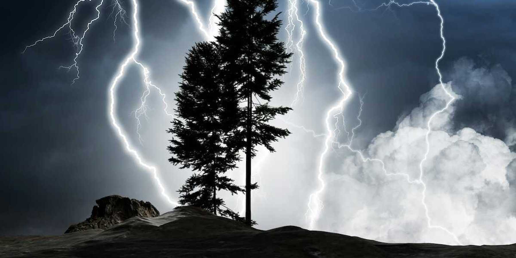 Two coniferous trees silhouetted against a lightning filled night sky