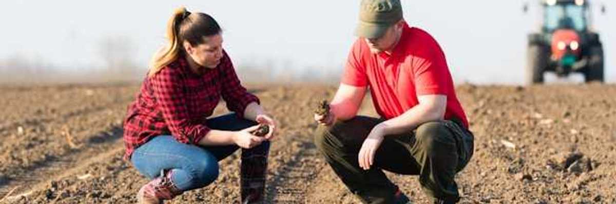 Two farmers crouching in a field reviewing the soil