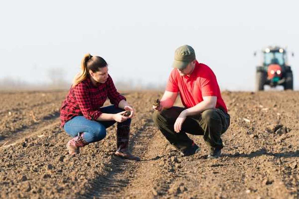 Two farmers crouching in a field reviewing the soil