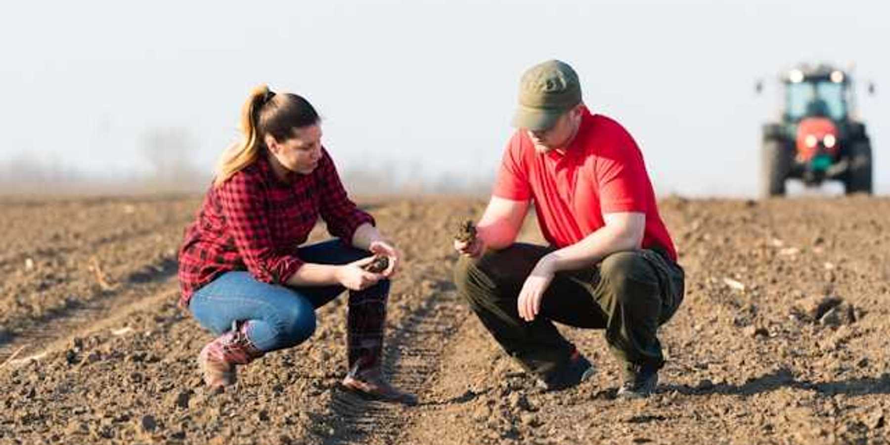 Two farmers crouching in a field reviewing the soil