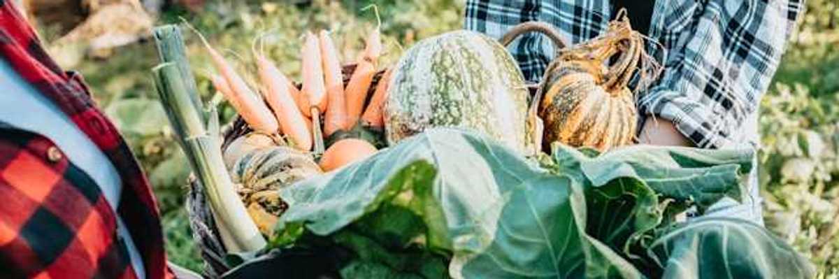 Two farmers holding a basket of vegetables between them