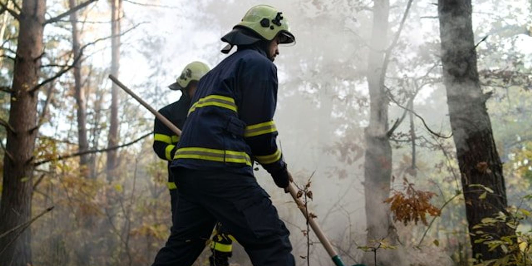 Two firefighters in a forest stamping out a fire with shovels.