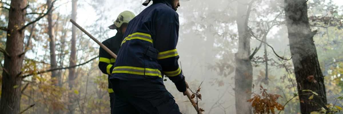 Two firefighters working a fire line