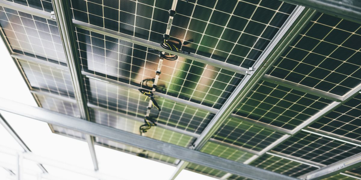 Two guys standing underneath large solar panels