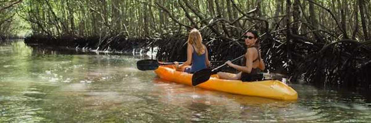 Two women in a kayak floating through a mangrove forest