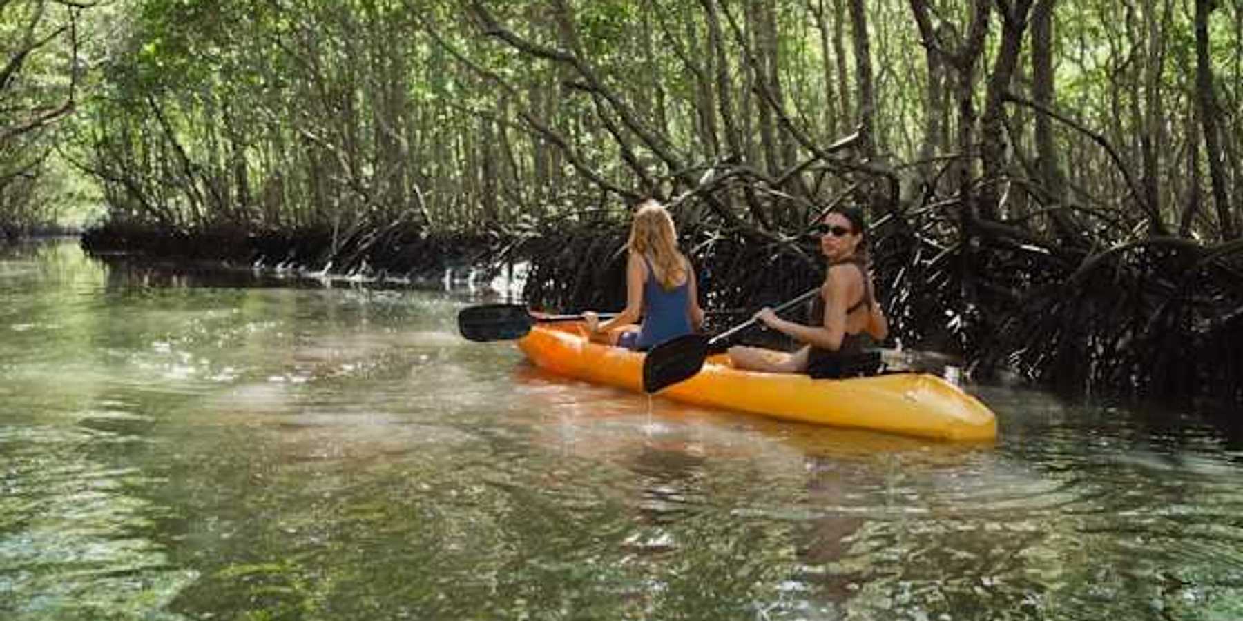 Two women in a kayak floating through a mangrove forest