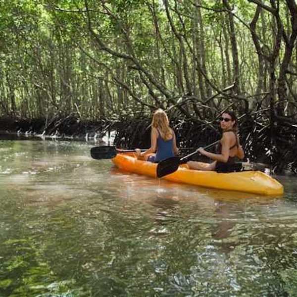 Two women in a kayak floating through a mangrove forest