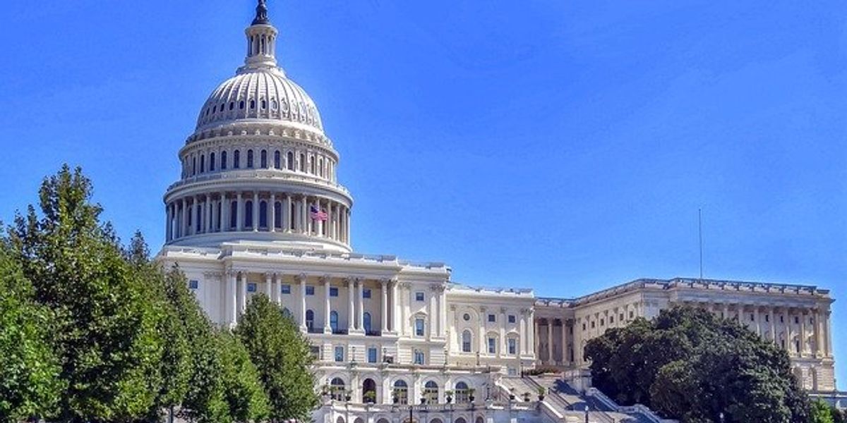 U.S. capitol building in Washington, DC