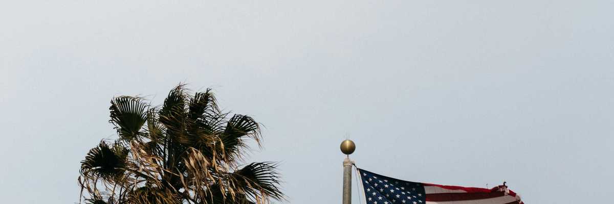 US flag and California state flag flying on a single flag pole next to a palm tree.