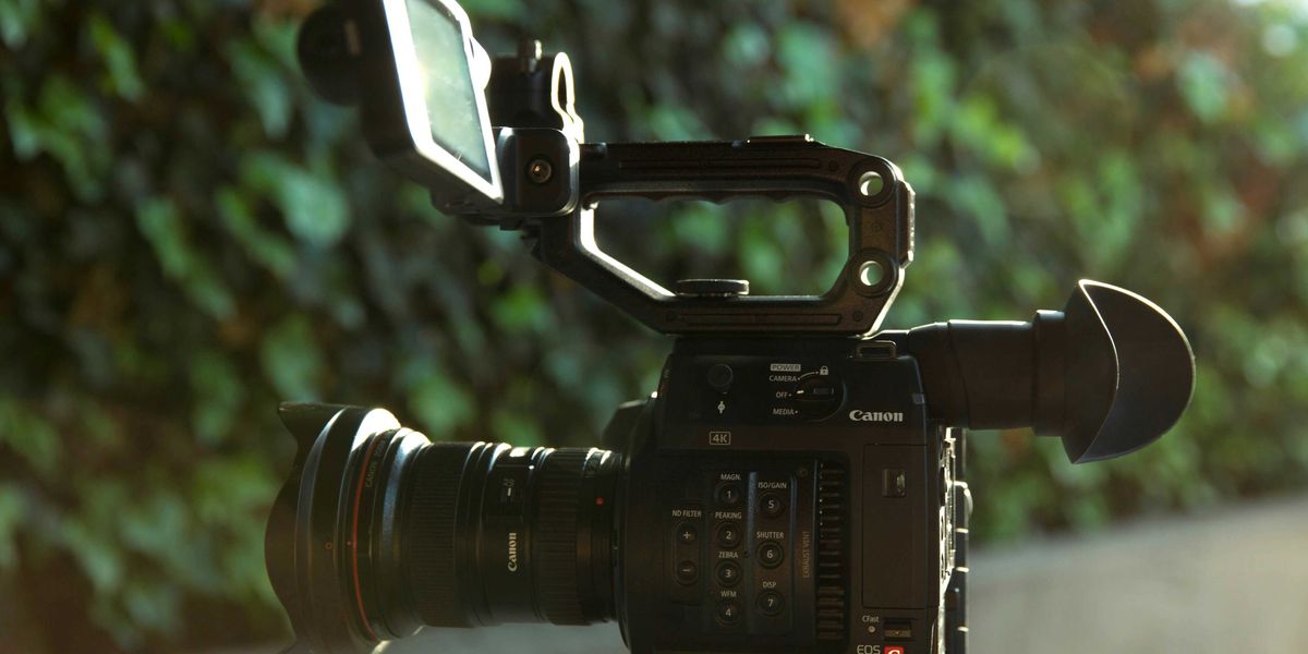 Video camera on a tripod facing a green hedge.