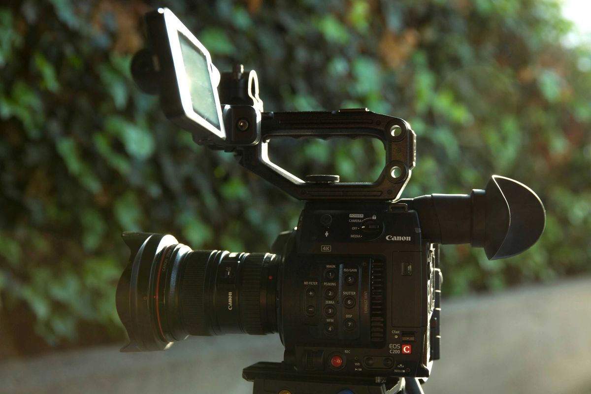 Video camera on a tripod facing a green hedge.