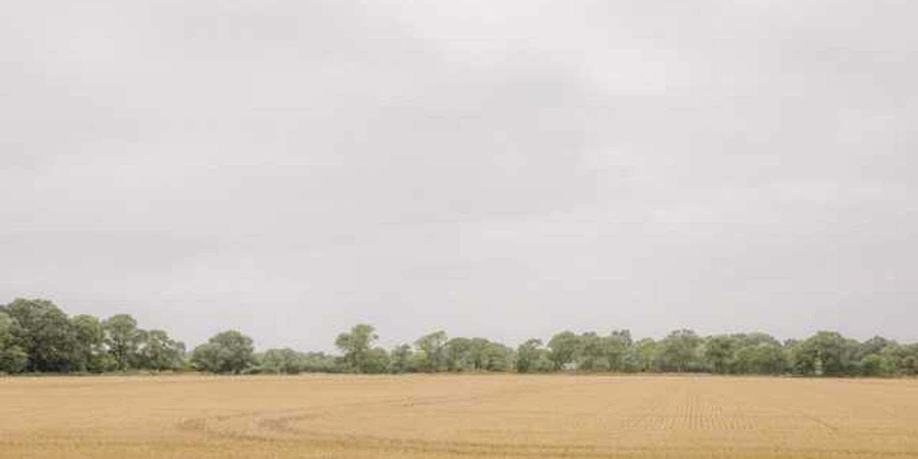 View of a beige farm field with green trees in the background