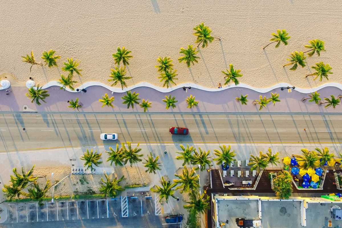 View of the beach and palm trees from above