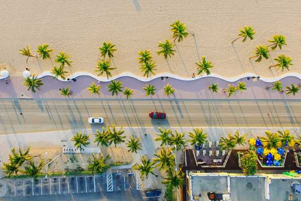 View of the beach and palm trees from above