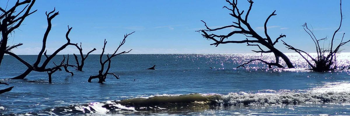 Waves covering dead trees