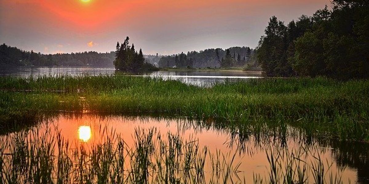 wetlands floods