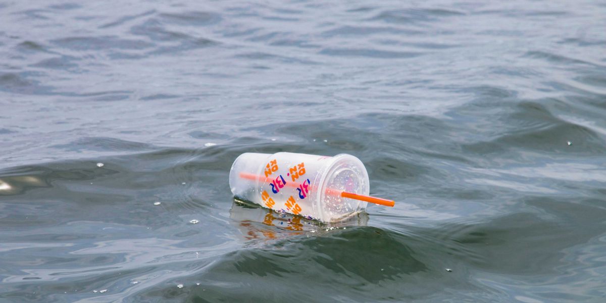 white and red plastic cup floating in the water