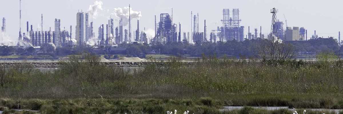 White pelicans, ducks, marsh with refineries and petrochemical plants in background. shot at San Jacinto Monument Park near Houston, Texas.