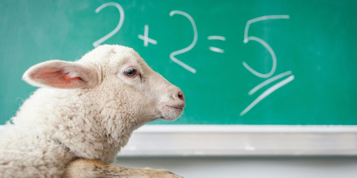 White sheet leaning against desk with chalkboard in the background with the numbers 2+2=5.