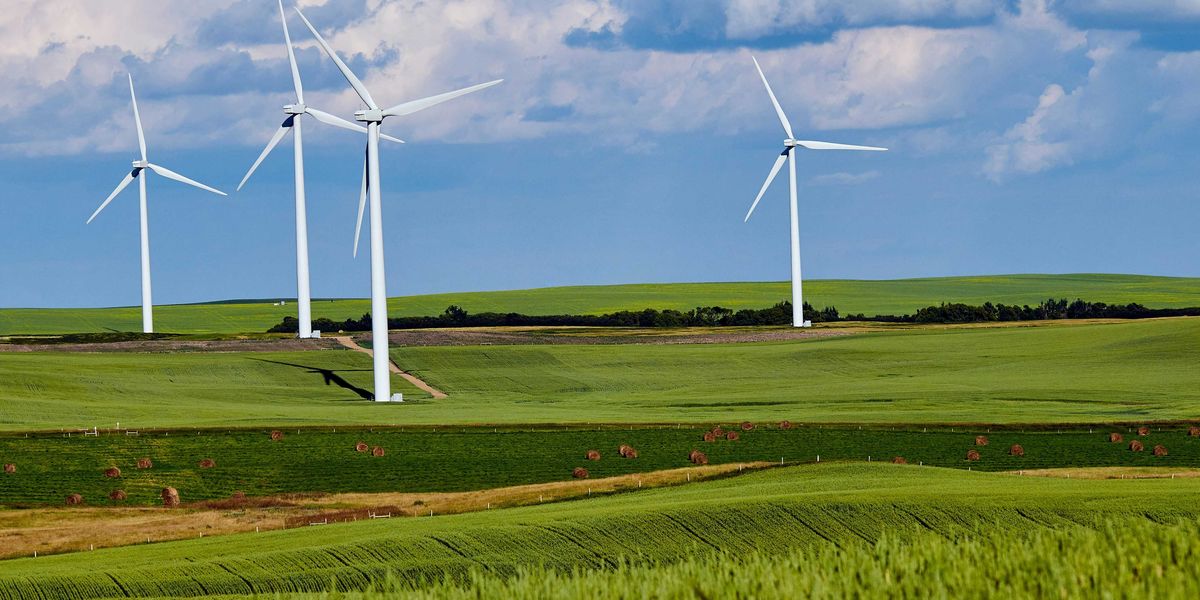White wind turbines in the midst of green farm fields
