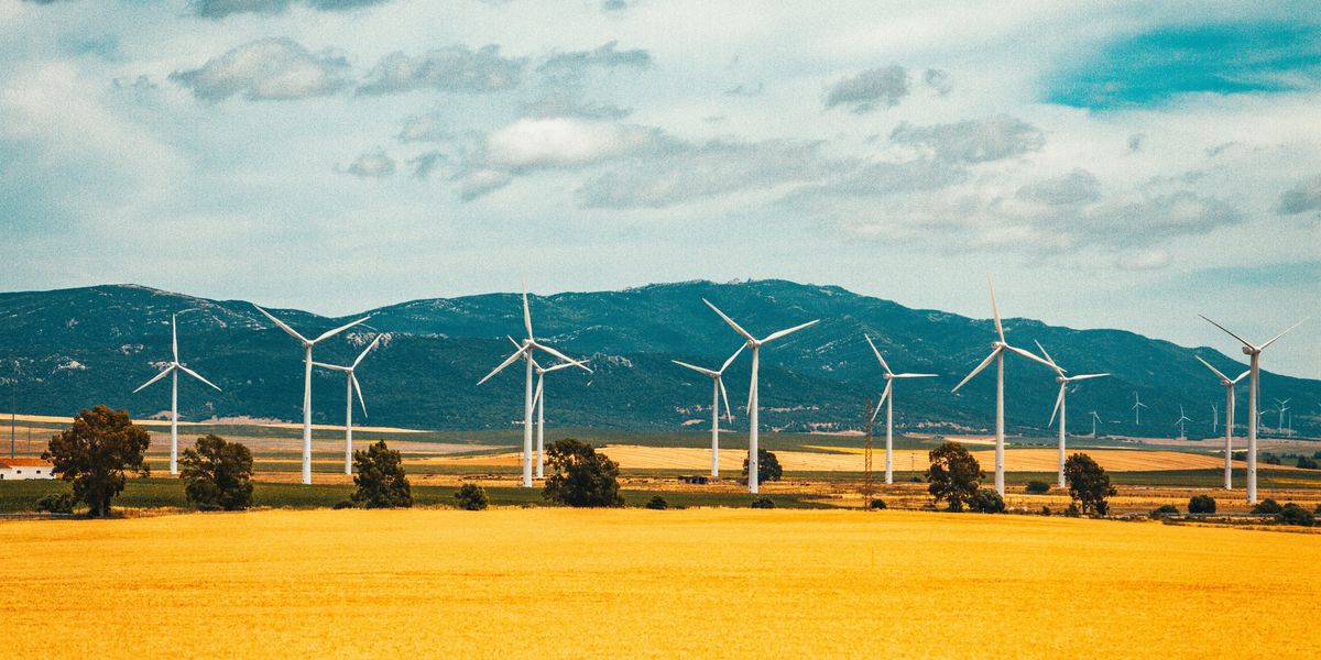 white wind turbines on golden field under blue and white sunny cloudy sky during daytime.