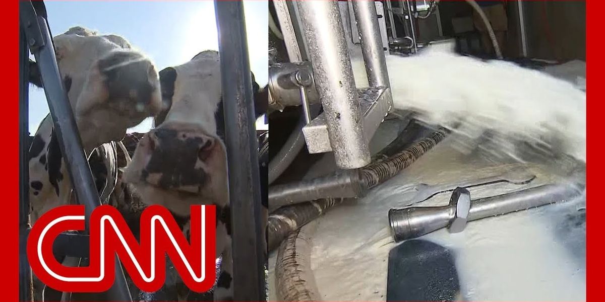 Peter Dykstra: Is CNN back in the game?