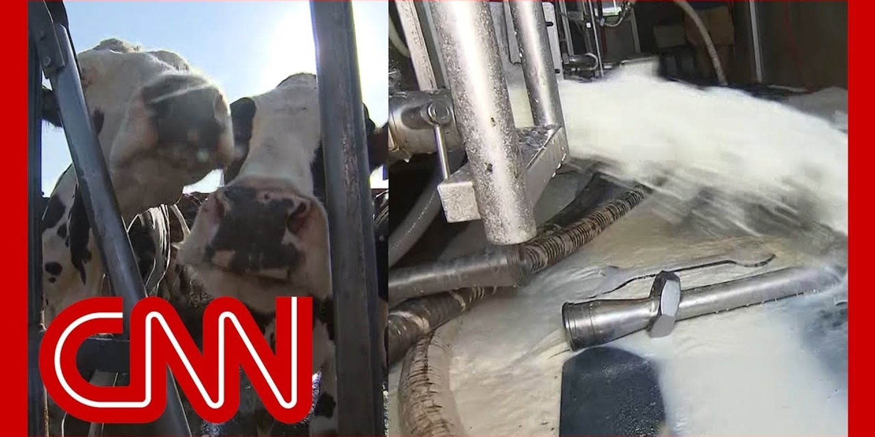 Peter Dykstra: Is CNN back in the game?