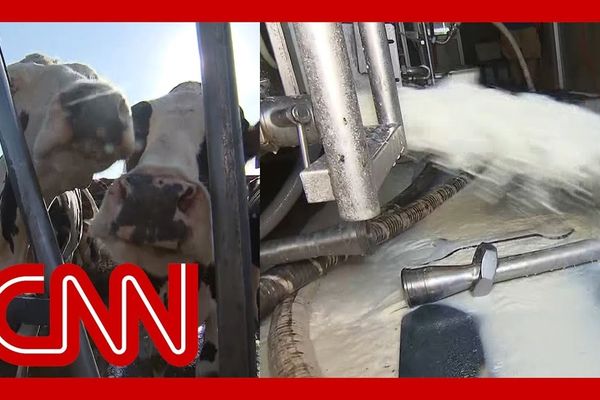 Peter Dykstra: Is CNN back in the game?